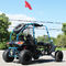 Belt / Chain Drive Air Cooled 200cc Adult Off Road Go Kart With CVT Gear