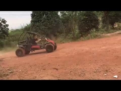 Kart 150cc 2 lugares