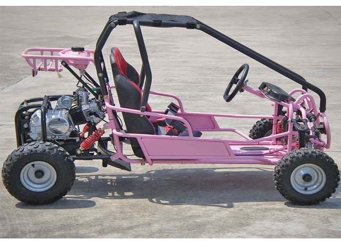 110cc caçoa a cremalheira traseira dos assentos do kart dois de Off Road com transmissão/reverso de CVT