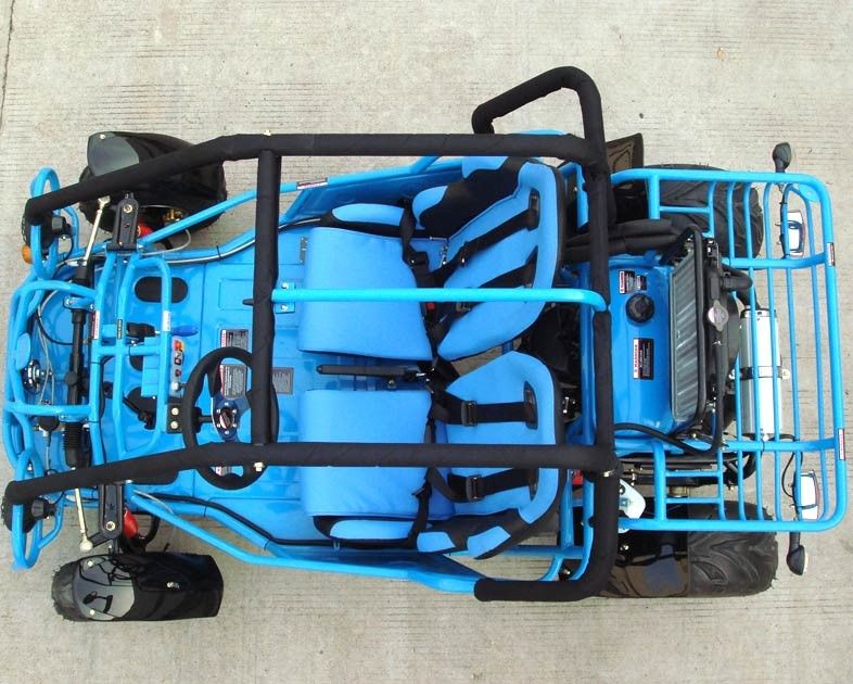 o dobro com erros do kart 250cc um braço/escolhe A - arme com o reverso de CVT/pneumático da estrada