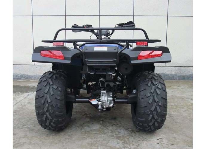 Veículos com rodas 300cc do esporte quatro da velocidade rápida, competindo quatro o curso dos veículos com rodas 4 com motor CVT dos CB