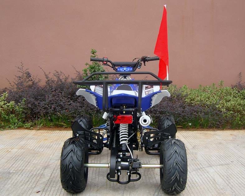 Veículos com rodas dianteiros/da parte traseira disco do freio quatro para adultos, começo bonde do veículo com rodas 110cc quatro