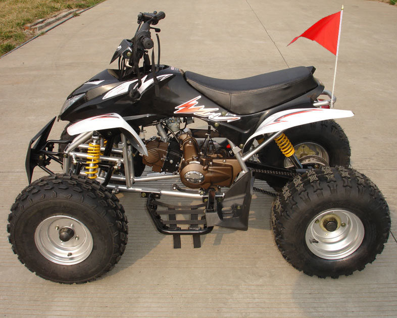 Tamanho meados de ATV de quatro rodas 110cc totalmente automático com o freio de cilindro dobro dianteiro reverso