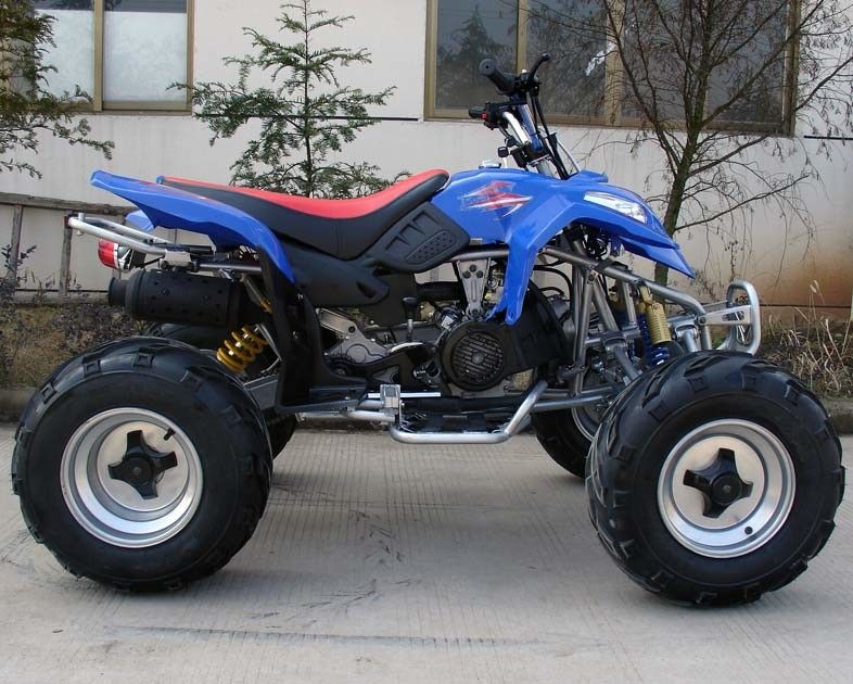 Tamanho 10