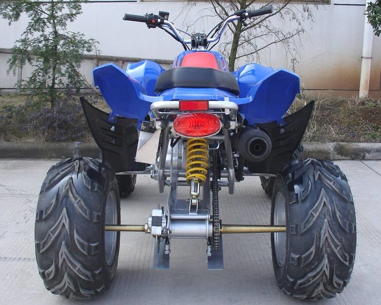 Tamanho 10