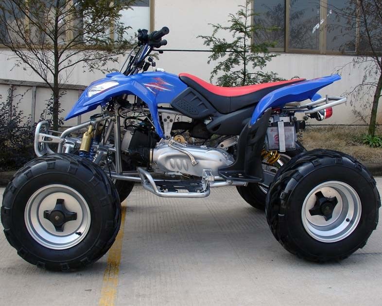 Tamanho 10