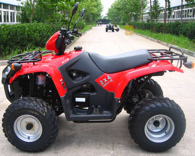 Lubrifique a juventude de refrigeração Atv de competência 260cc com a engrenagem reversa do grande tamanho/a caixa engrenagens do interior