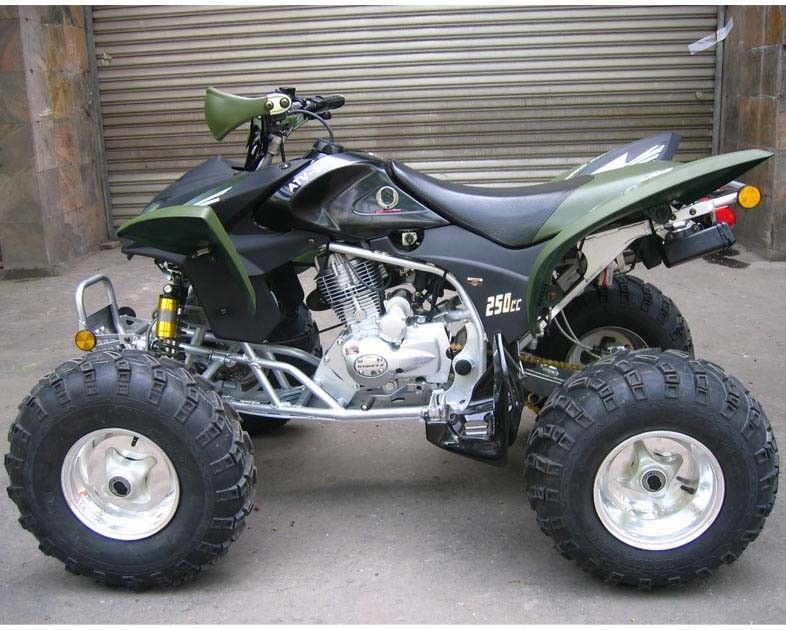 Juventude da extra grande que compete a embreagem elétrica do manual do começo do CDI da bicicleta do quadrilátero de Atv 250cc Atv
