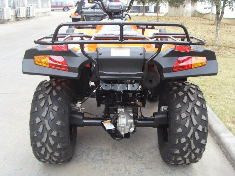 300CC veículo utilitário Atv 40.3mile/H com 2 assentos, Um-braço dobro/único braço