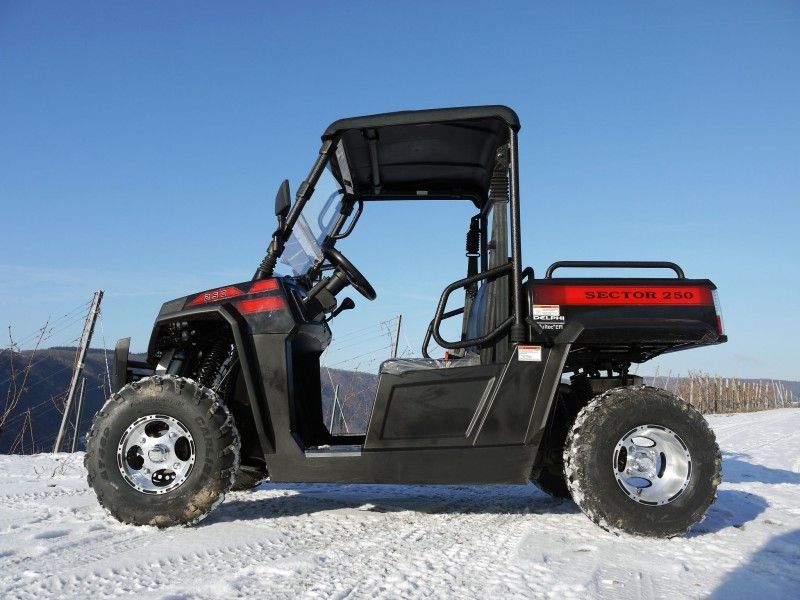 Veículos utilitários Tiltable do gás do guincho do carregador de UTV 250 com Efi - vermelho, Windsheild e barra de reboque