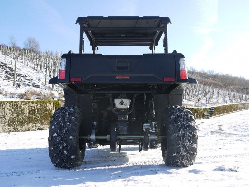 Veículos utilitários Tiltable do gás do guincho do carregador de UTV 250 com Efi - vermelho, Windsheild e barra de reboque