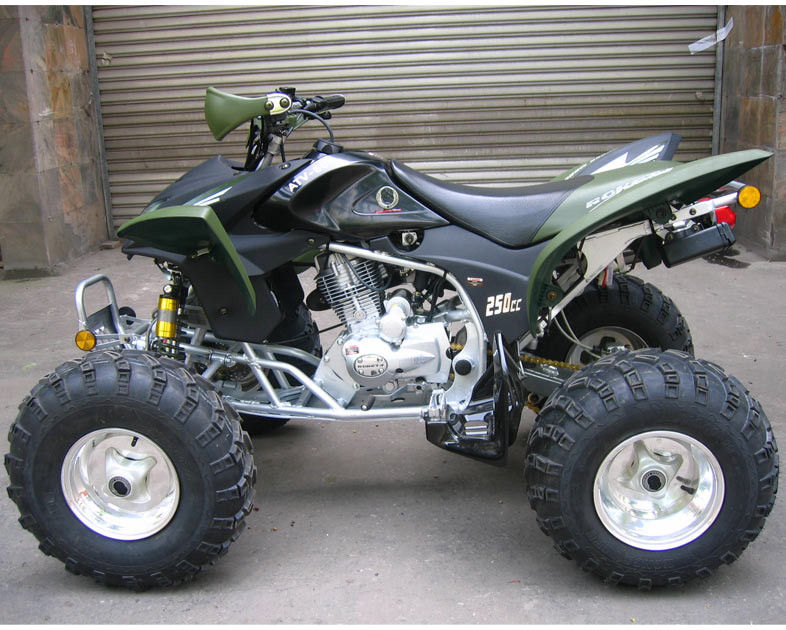 Juventude ATV de competência da estrada 250cc da exploração agrícola e de floresta, velocidade máxima 46.6mile/h