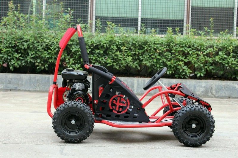 80cc caçoa o kart de Off Road, kart de duas pessoas máximo EPA da velocidade 45km/H aprovado