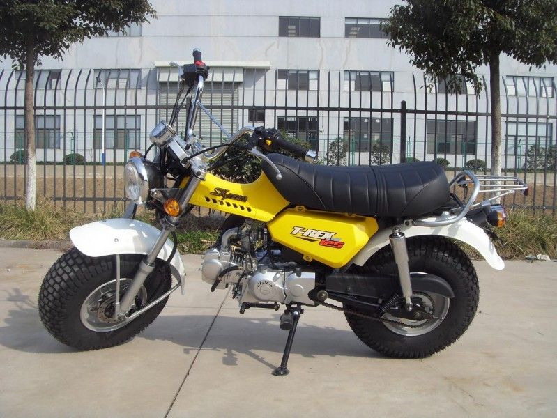 Skyteam T - mini bicicleta 125cc, 2 pessoas de Rex 125 da motocicleta com a engrenagem de 4 velocidades