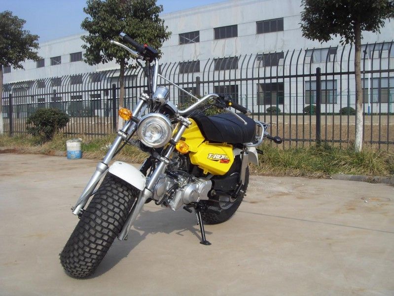 Skyteam T - mini bicicleta 125cc, 2 pessoas de Rex 125 da motocicleta com a engrenagem de 4 velocidades