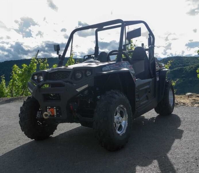 o veículo utilitário de quatro rodas do grande tamanho 250cc, água refrigerou veículos utilitários de ATV