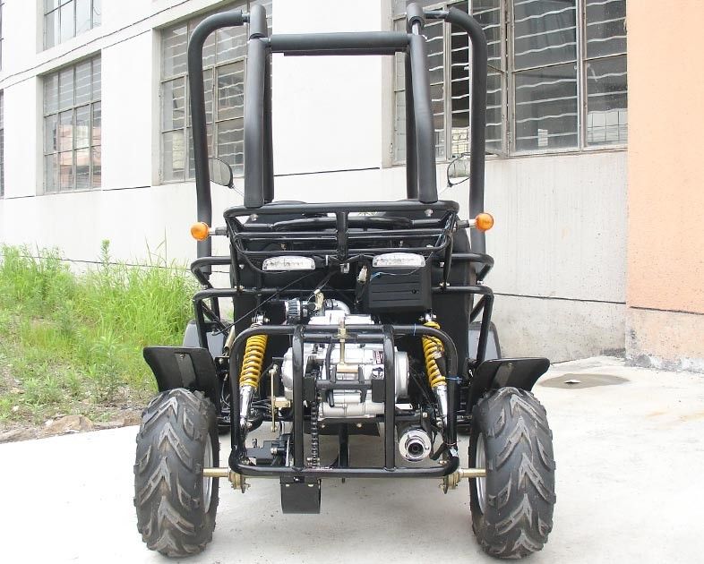 3 carrinho pequeno dois Seater Atv do kart da velocidade 110cc com começo do CDI Electirc