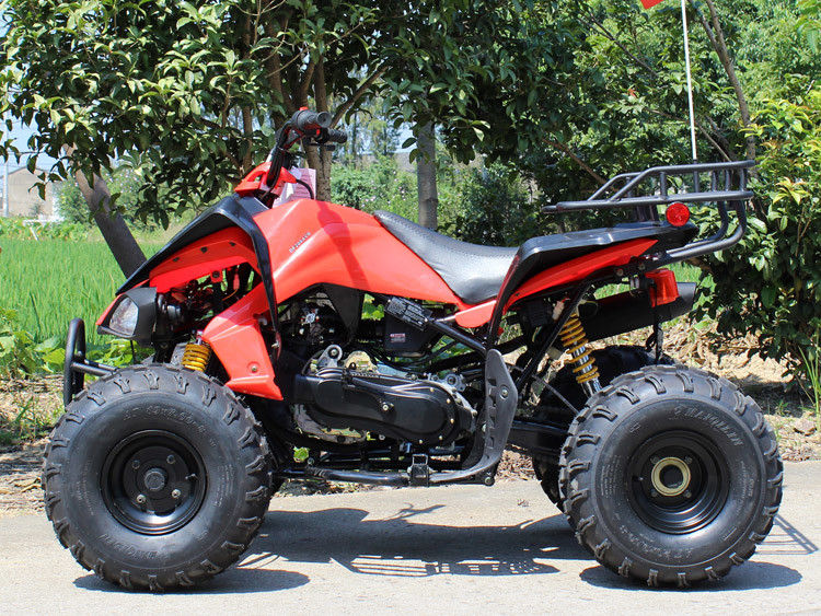 200cc ATV de quatro rodas, 8