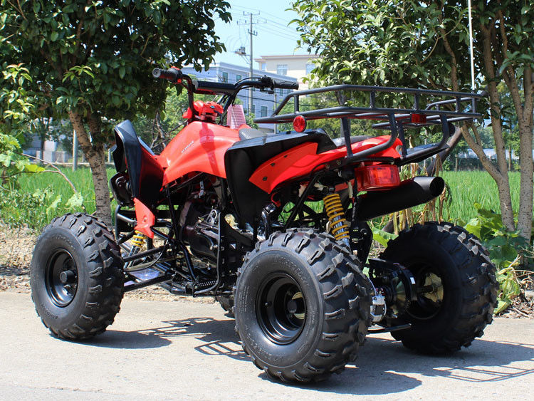 200cc ATV de quatro rodas, 8