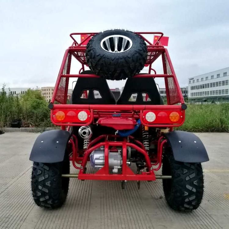 água com erros do grande kart do tamanho 250cc de refrigeração com suspensão do independente de 4 rodas