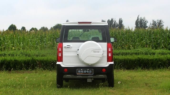 Mini tamanho 1500w de quatro carrinhos de golfe bondes das rodas com sobre escala de 500km