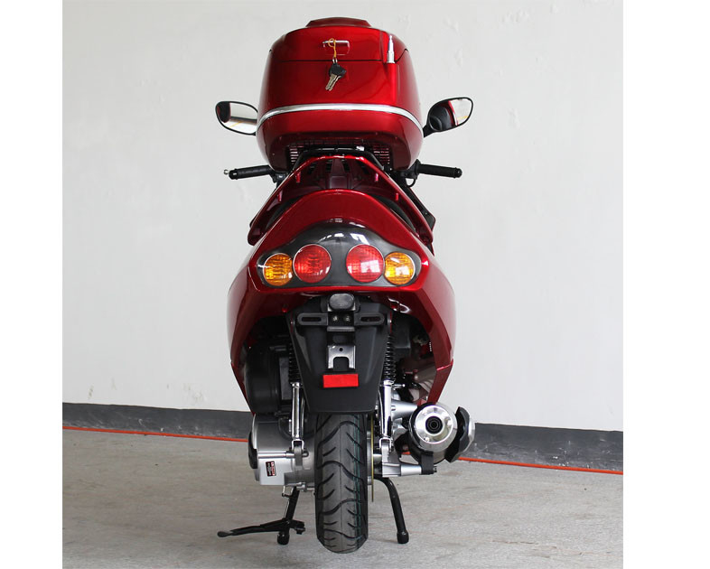 300cc 1 disco fresco líquido adulto da parte dianteira da movimentação de correia do 