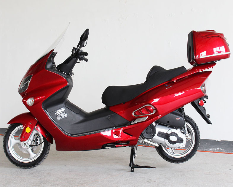 300cc 1 disco fresco líquido adulto da parte dianteira da movimentação de correia do 