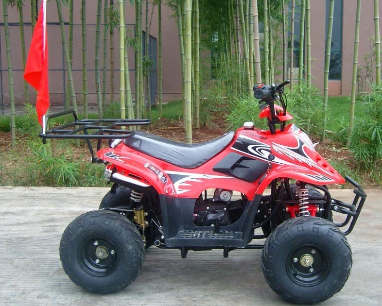Elevado desempenho máximo dobro dianteiro da carga da bicicleta 80KG do quadrilátero do braço 70cc ATV do balanço