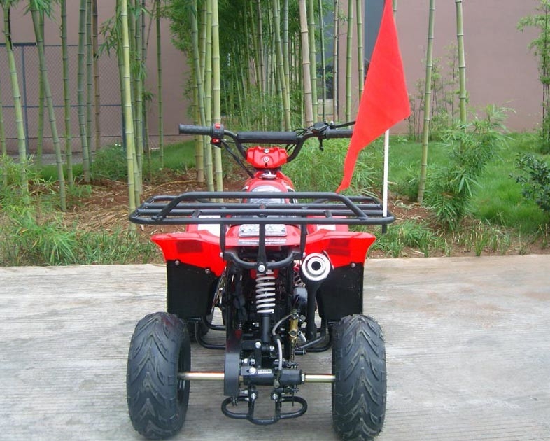 Elevado desempenho máximo dobro dianteiro da carga da bicicleta 80KG do quadrilátero do braço 70cc ATV do balanço