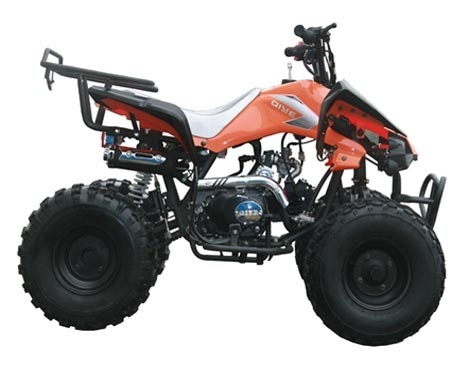 Juventude inteiramente auto ATV de competência do motor 125cc com começo bonde máximo reverso da carga 65kg