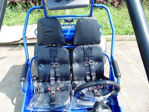 Ignição 17,4 de um CDI de 2,25 galões HP 300cc CVT EFI Go Kart Buggy