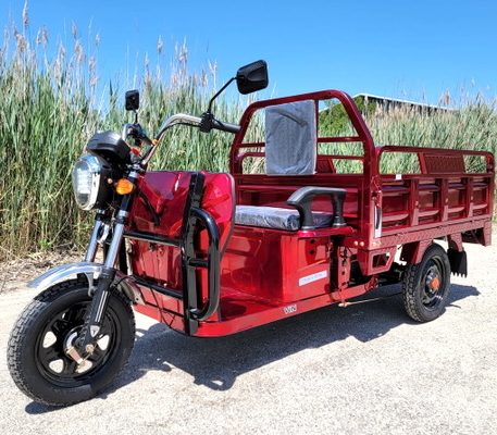 Caminhão posto elétrico da carga 1000 "trotinette" motorizado watt da bicicleta da roda da bicicleta motorizada 3